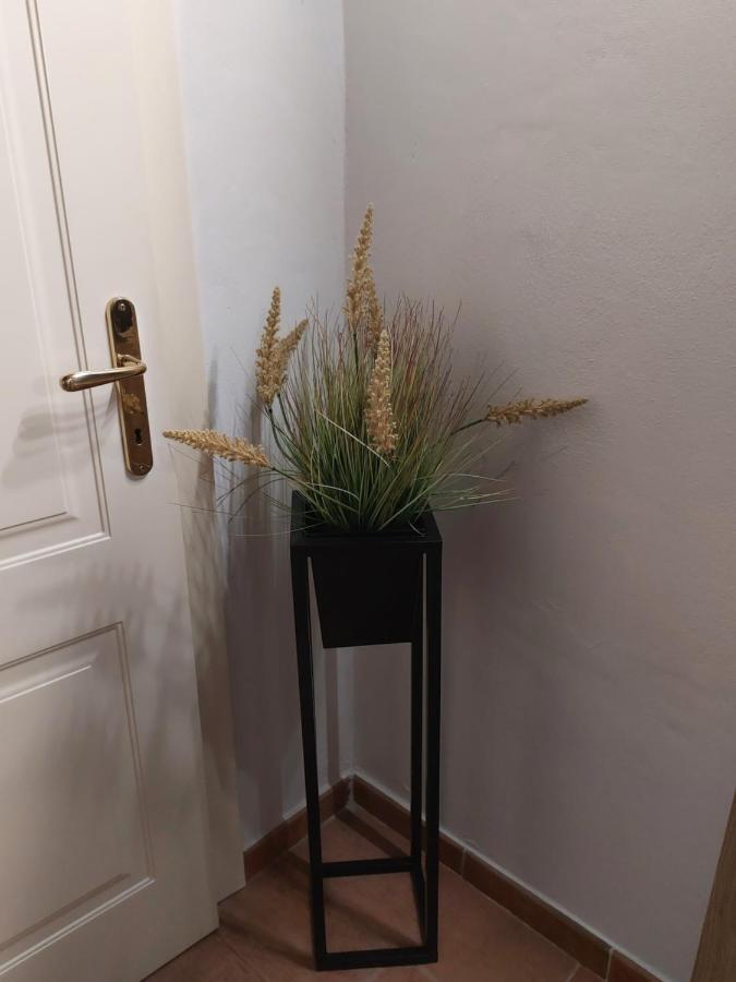 Hotel Dodo'S House Ferrara Esterno foto